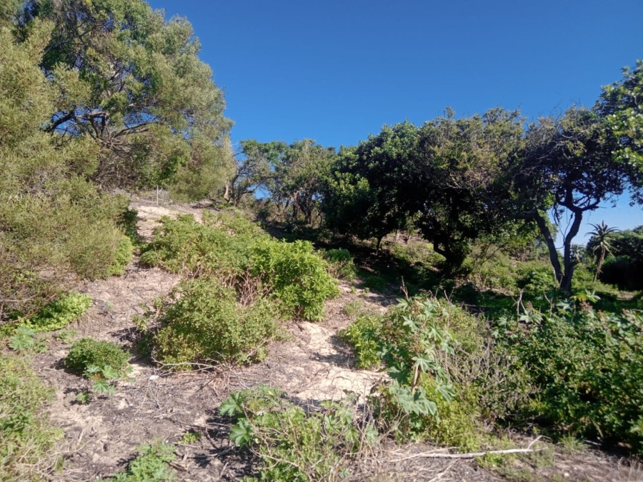 Commercial Property for Sale in Paradise Beach Eastern Cape